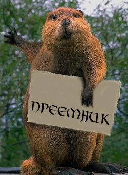 От добра Бобра не ищут 