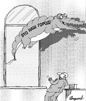 «Политика» начинается в «полисах» 