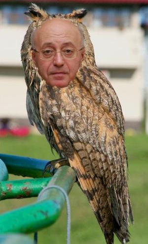 Коричневый скелетик Кургиняна