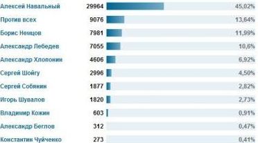 Партизаны российской политики